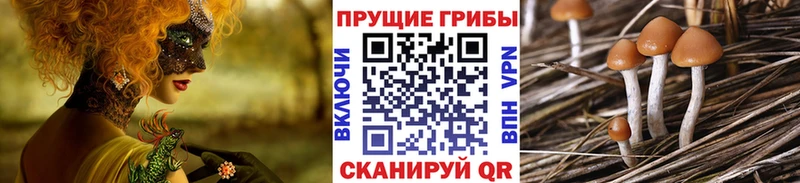 Псилоцибиновые грибы прущие грибы Купить Кочубеевское